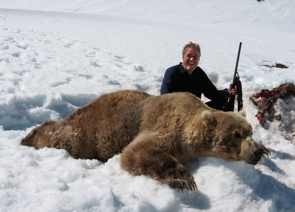 Brown Bear Kills Caribou