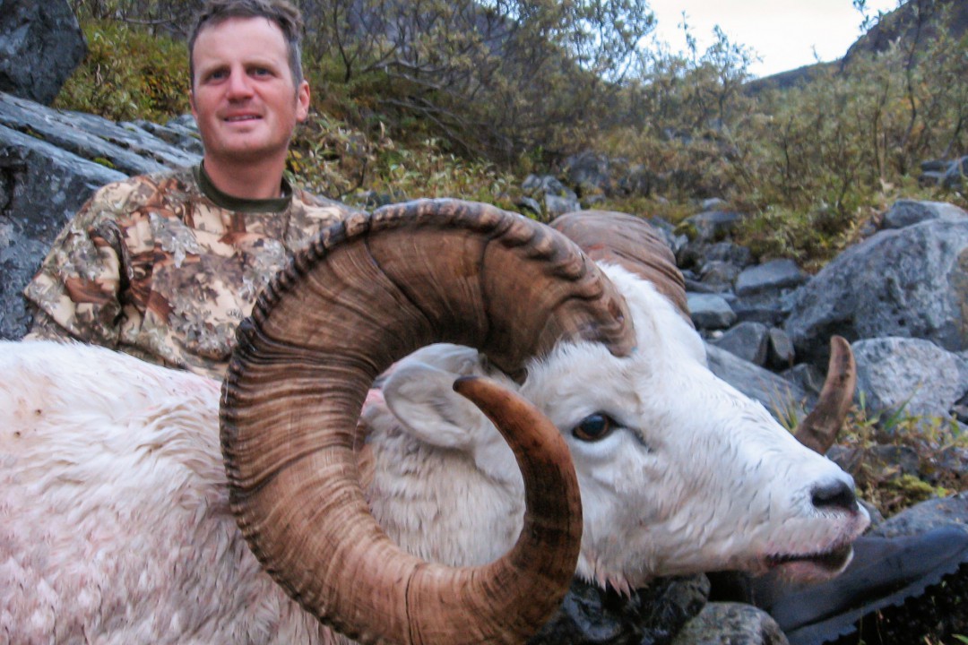 Alaska Guided Sheep Hunts