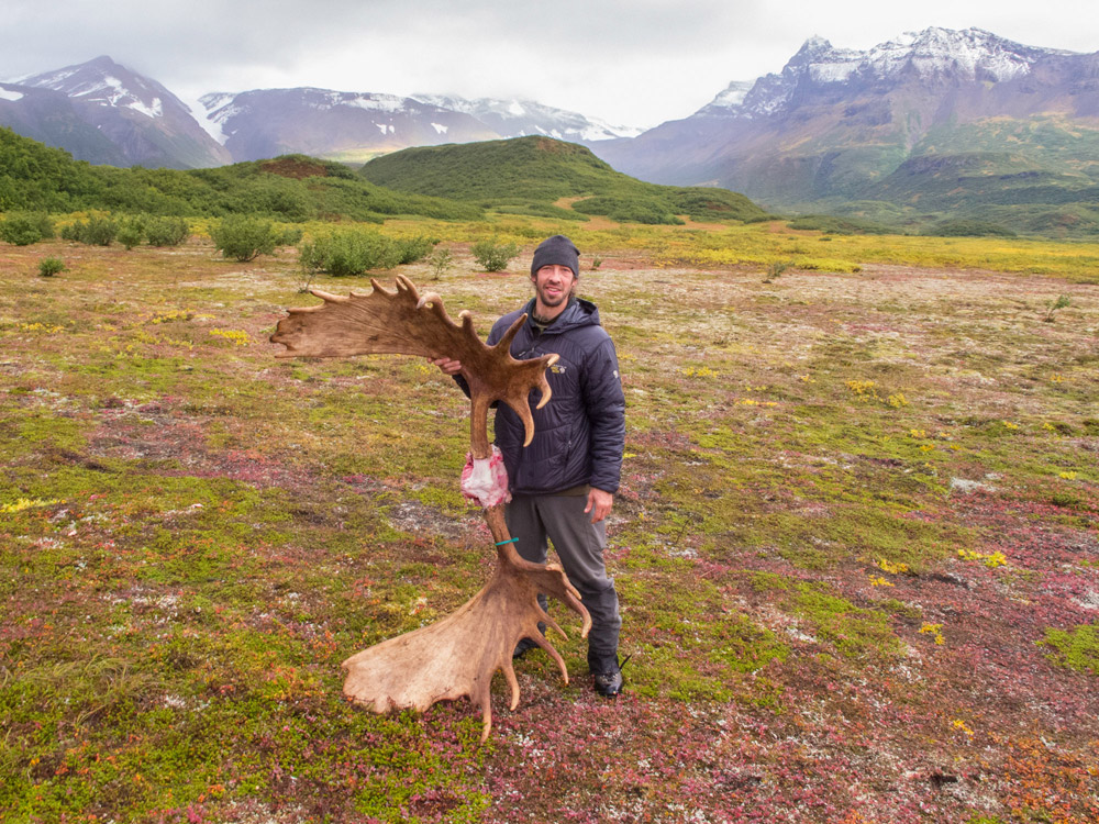 Alaska moose guides