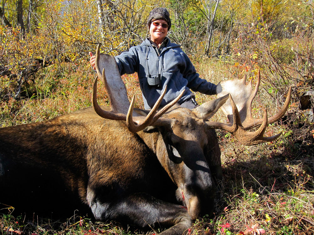 Alaska Moose Hunting Vast Alaska Guided Moose Hunts