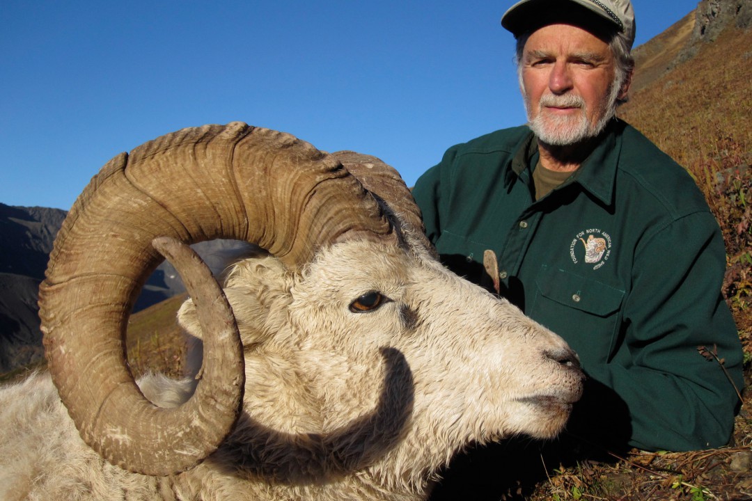 Alaska Sheep Hunts