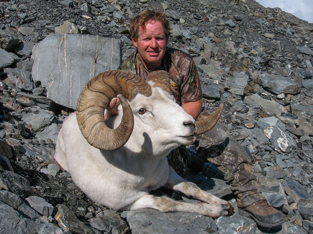 Sheep Hunting Alaska