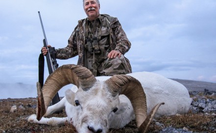 Sheep Hunting Outfitters