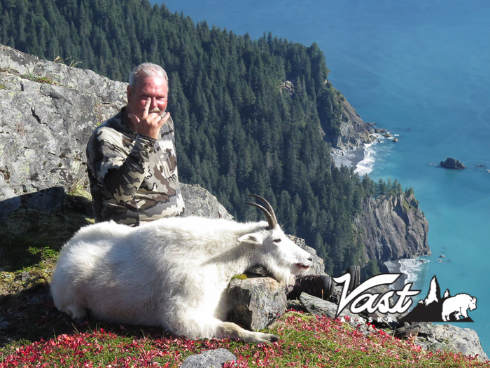 Mountain Goat In Vast Alaska