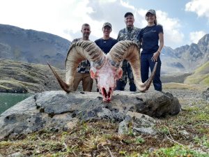 Unit 14c sheep hunting with Vast Alaska