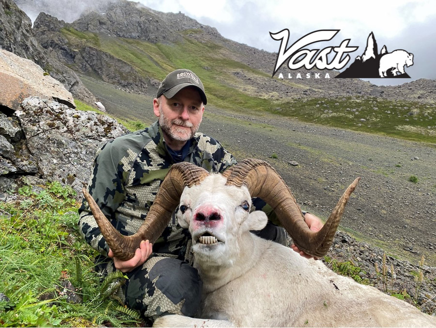 Hunting Trophy Alaska Rams
