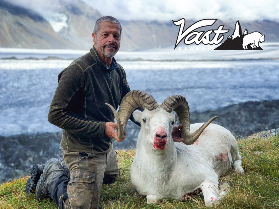 Dall Sheep Hunt Alaska