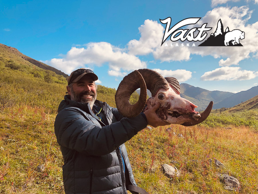 Sheep Hunting Alaska