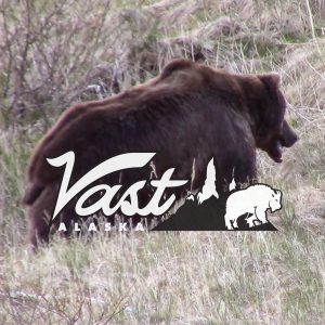 Brown Bear Hunting Gear List