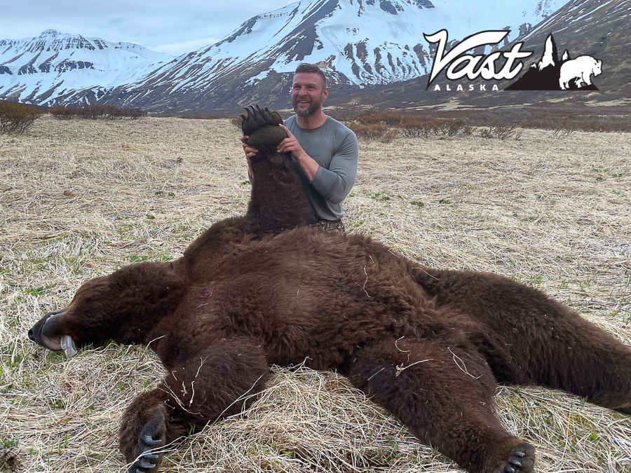 Alaska Brown Bear Hunting Guides